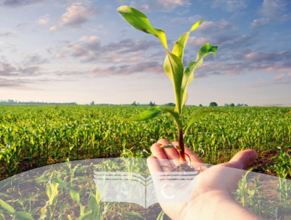 Curso para Curso Preparatório para Certificação Agrícola